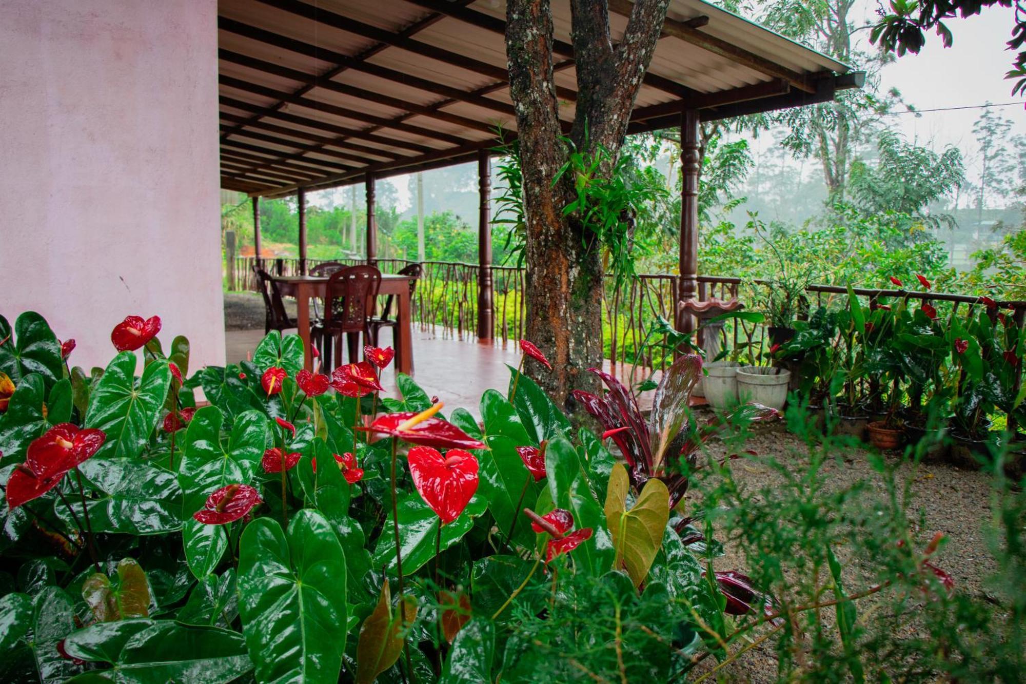 Nine Arch Homestay Ella Extérieur photo